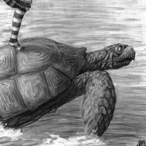 Mach Turtle Detail 4 Mach Turtle Detail 4